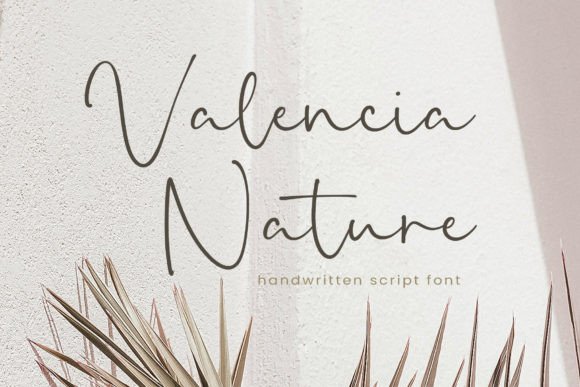 The Elegant Flow of Valencia Nature Typography